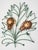 Mid-Century Modern Leaf Sconce in the style of Mathieu Mategot, 1950s For Sale - Image 3 of 8