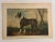 Mid-Century Modern 1948 Book Plate Print of a Bull Terrier Dog For Sale - Image 3 of 7