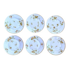Example of Limoges, France Dinnerware