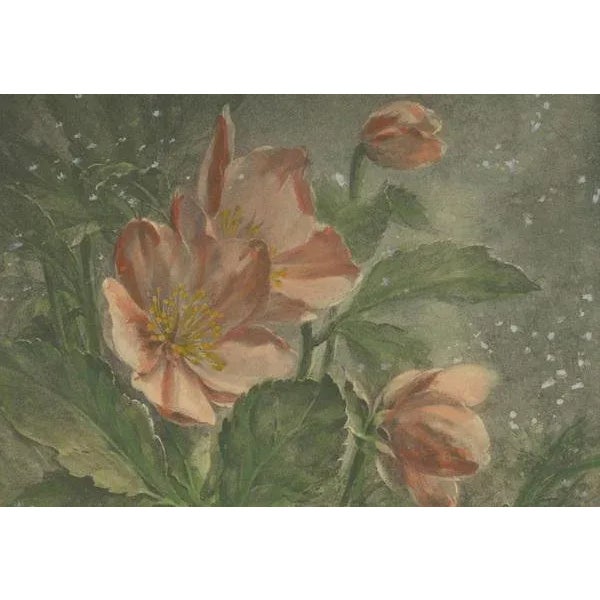 Hector Giacomelli, Snowdrops in Bloom, 1891, Paper For Sale - Image 3 of 9