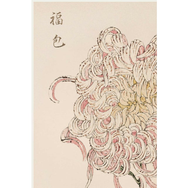 A refined example of late 19th-century Japanese botanical illustration, this vintage art print reproduction features Blush...