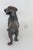 Buxtehude Dachshund Metal Dog Standing Figurine 4703b For Sale In Miami - Image 6 of 11
