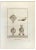 Vincenzo Segoni, Pompeian Style Oil Lamps, Etching, 18th Century For Sale