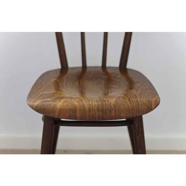 Dining Chairs from Tatra Nabytok, Czechoslovakia, 1960s, Set of 4 For Sale - Image 11 of 18