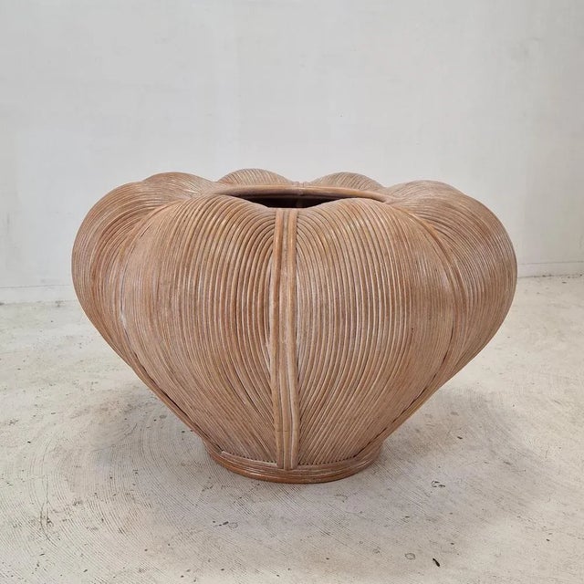 Large Bamboo and Rattan Planter, France, 1970s For Sale - Image 13 of 13