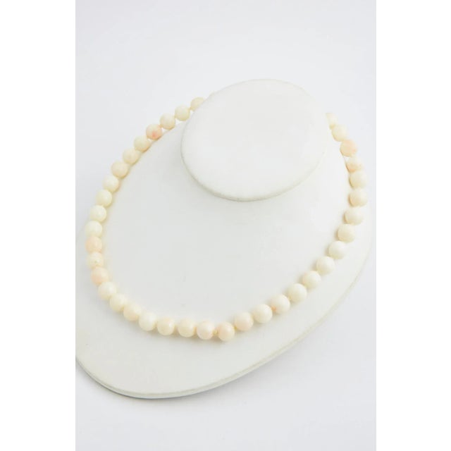 Shell Angel Skin Coral Bead Necklace For Sale - Image 7 of 7