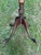 Vintage Mahogany Carved Base Side Table For Sale - Image 4 of 12