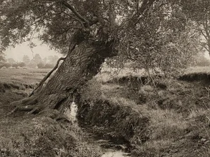 Late 19th Century "The Homes and Haunts of William Shakespeare" Photogravure