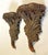 Vintage Acanthus Leaf Bronze Painted Wall Brackets- a Pair For Sale - Image 4 of 12