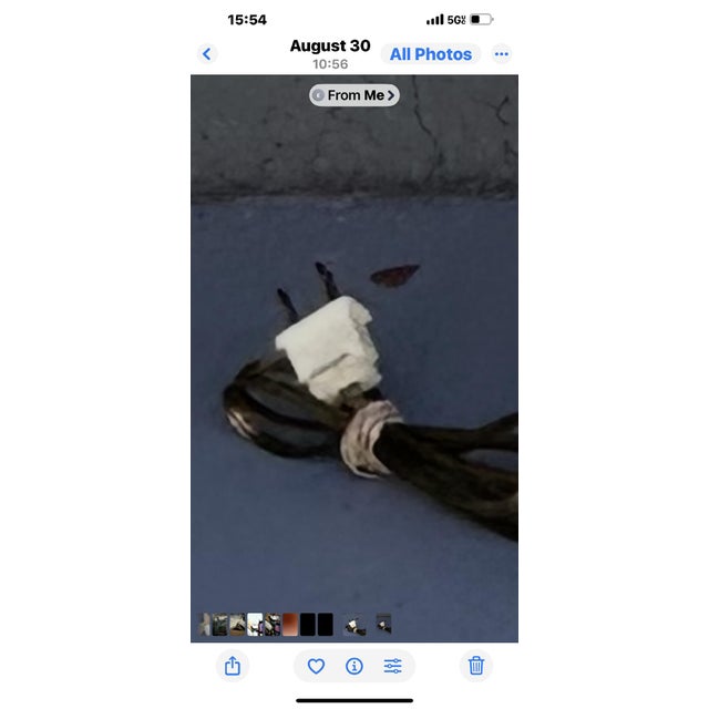 Late 19th Century Antique 19th Century Brass Floral Pair of Wired 7 Light Church Candelabras Featuring a Reliquary Cross For Sale - Image 5 of 5