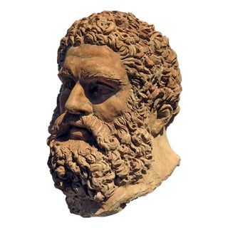 Terracotta Head of the Farnese Hercules, 1900s For Sale