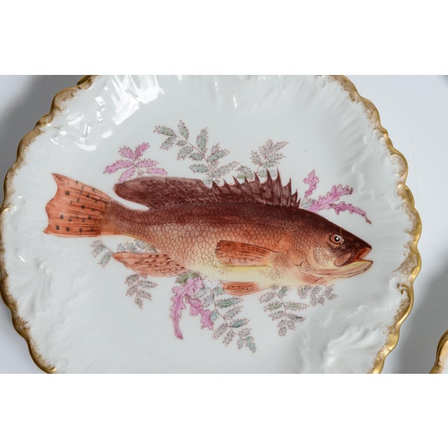 Antique Hand-Painted French Limoges Porcelain Fish Service Set - 14 pcs For Sale In West Palm - Image 6 of 14