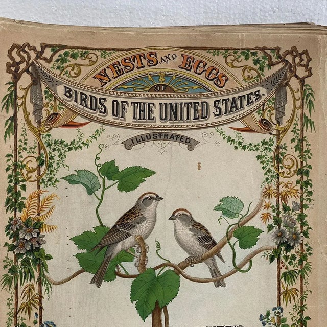 Late 19th Century Rare Book Thomas G. Gentry Nests and Eggs of Birds of the United States For Sale - Image 5 of 16