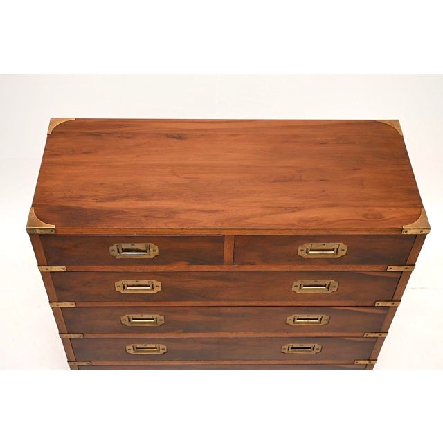 Wood Vintage Military Campaign Style Chest of Drawers in Yew Wood, 1930 For Sale - Image 7 of 10