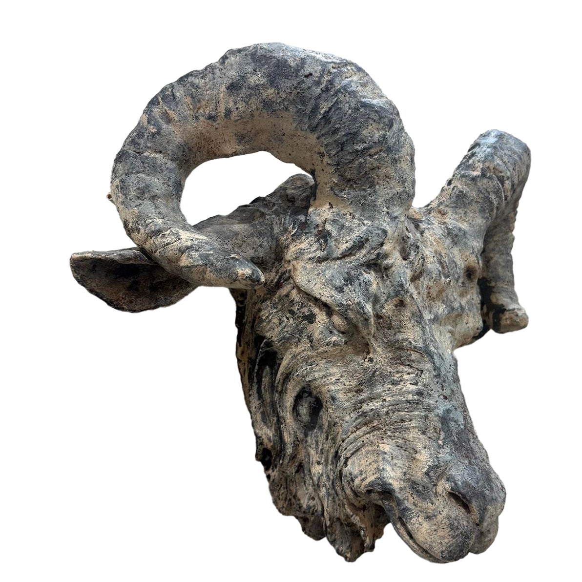 Antique Ram's Head From South of France | Chairish