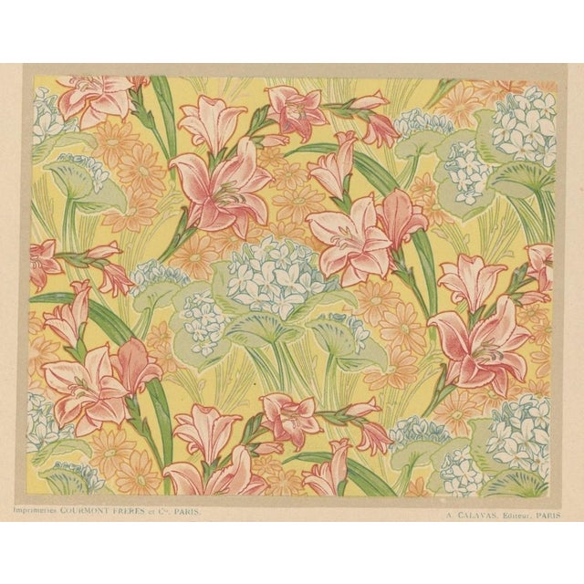 Art Nouveau C1900 French Botanical Design Chromolithograph-Amaryllis, Violets For Sale - Image 3 of 4