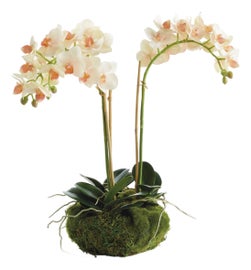Example of Greenery Sale