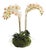Phalaenopsis 16" Mini Garden Drop-In For Sale