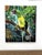 Alessandro Filetti, Toucan, 2013, Acrylic Painting on Canvas, Framed For Sale - Image 6 of 6