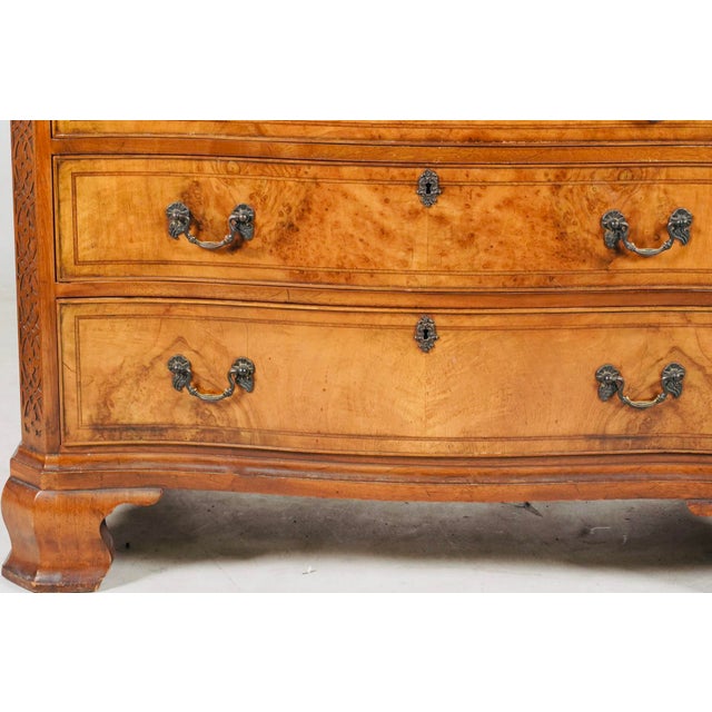 American 1920s Queen Anne Revival Burl Walnut Serpentine Chest of Drawers – Dutch Colonial Style For Sale - Image 3 of 10