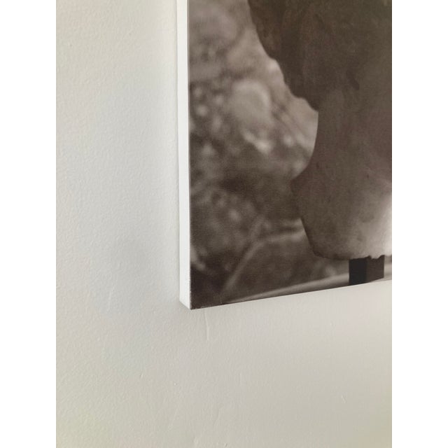 William Gray Harris Photograph on Canvas “ Aphrodite of Kindos" For Sale - Image 9 of 9
