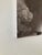 William Gray Harris Photograph on Canvas “ Aphrodite of Kindos" For Sale - Image 9 of 9