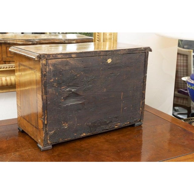 Wood Italian Baroque Walnut Specimen Chest For Sale - Image 7 of 7