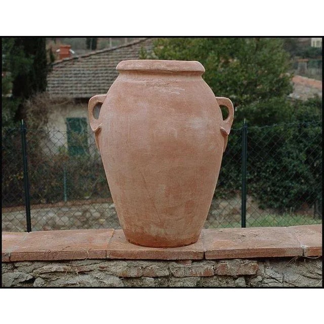 Orcio Liscio With Giglio Handles 31.5x24" For Sale - Image 4 of 4