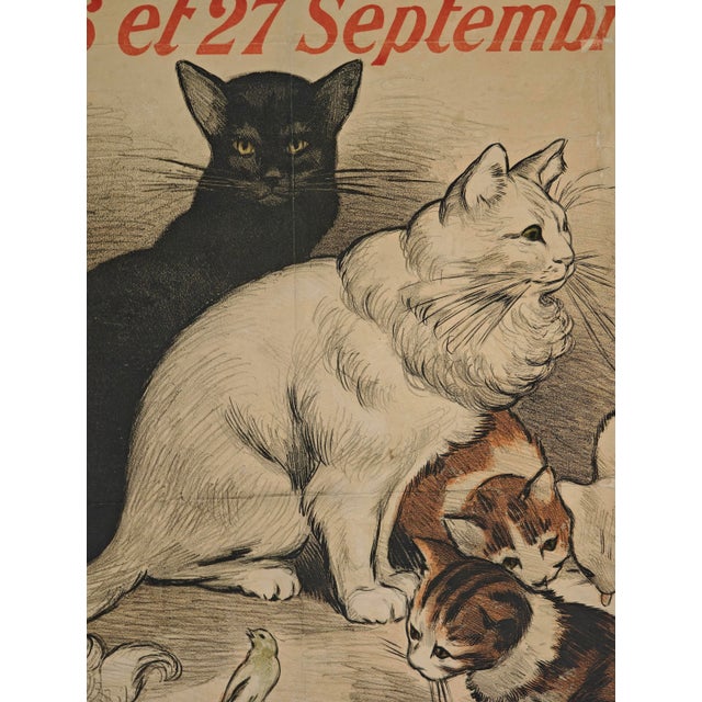 Late 19th Century Original Cat Expo Lithographic Poster by Auguste Roedel, 1896 For Sale - Image 5 of 9