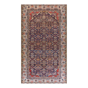Antique Persian Joshaqan Rug Ivory Border With Scrolling Vines and Flowers Frames the Field