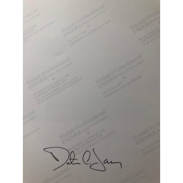 Peter C. Jones 1, Snipes Vessel, Ceramic Large Format Photo 24X20 Color Photograph Beach House, 2004 For Sale In Miami - Image 6 of 7