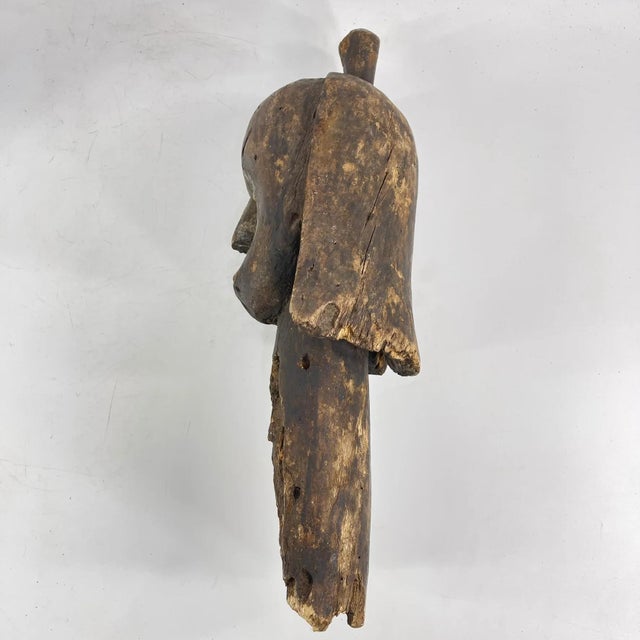Early 20th Century Early 20th Century Fang Reliquary Head Gabon For Sale - Image 5 of 13