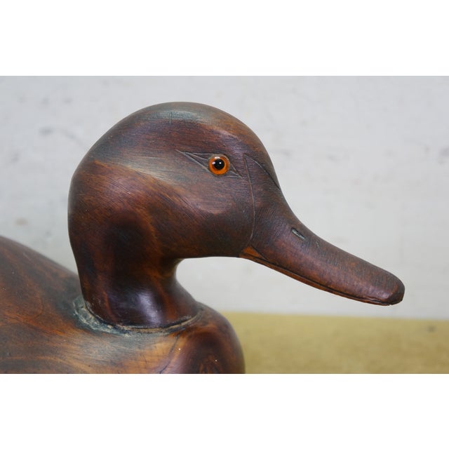 Brown Vintage Carlton B. Seybolt Grandy Nc Hand Carved Cedar Canvasback Hen Duck Decoy For Sale - Image 8 of 14