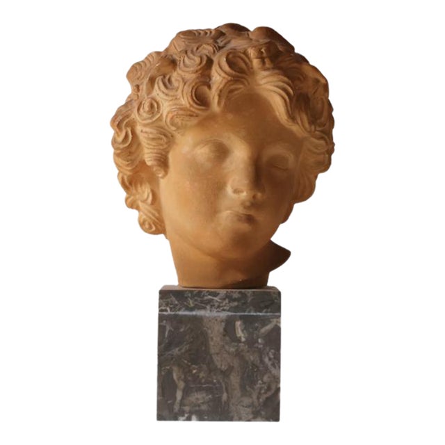 Early 19th Century French Terracotta Bust With Marble Base For Sale