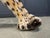 Large Italian Ceramic Leopard Statue, 1960s For Sale - Image 10 of 13