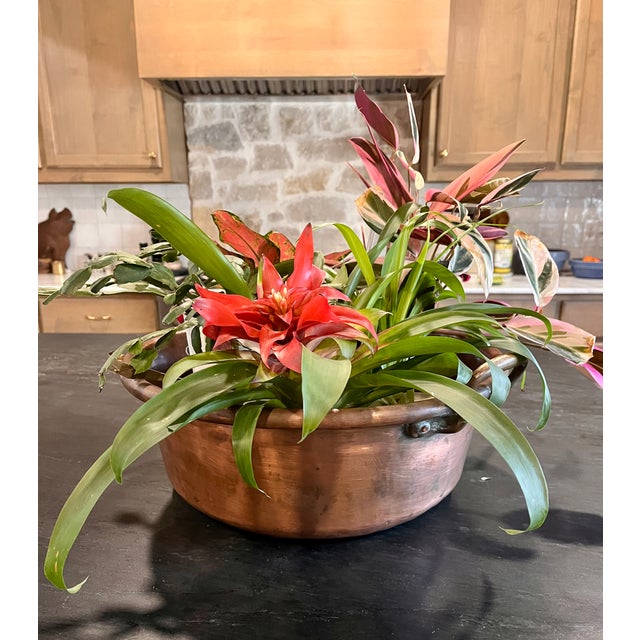 Imported from France. Mid 1800s handcrafted copper preserving pan. Large heavy vessel with turned lip and double handles....