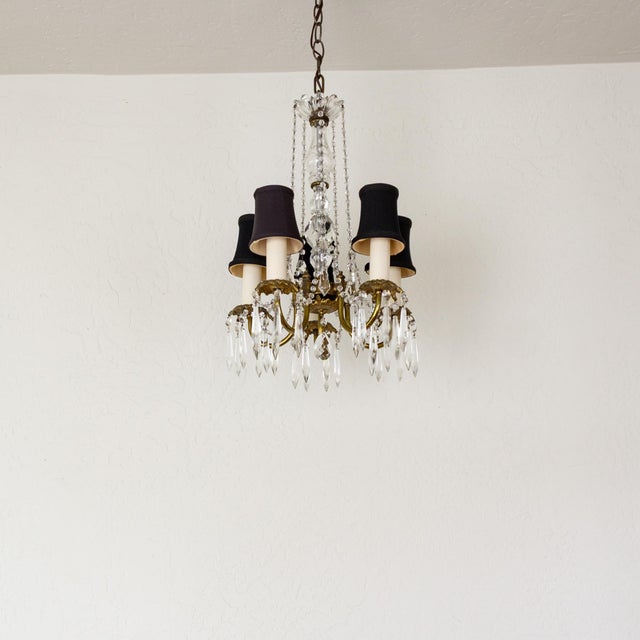 Petite French Louis XV Style Five Arm Crystal Chandelier With Black Lampshades For Sale - Image 11 of 18