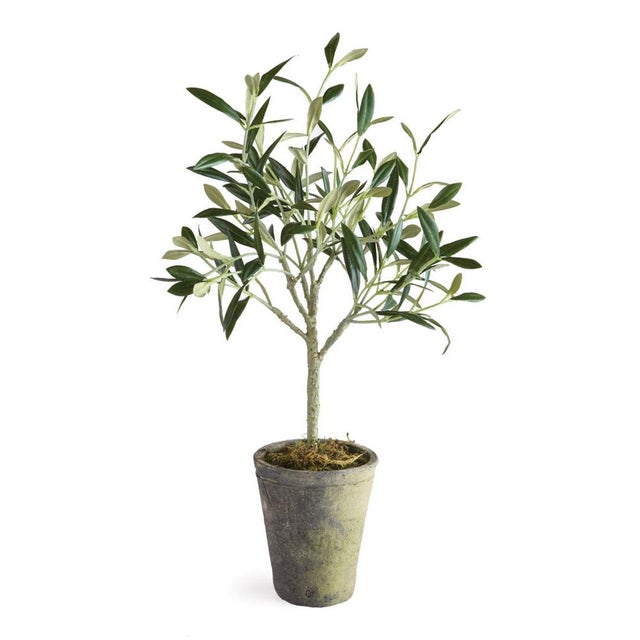 100% realistic a perfect copy of an olive tree. This dropin is a nomaintenance work of art. Complete with a wellsuited...