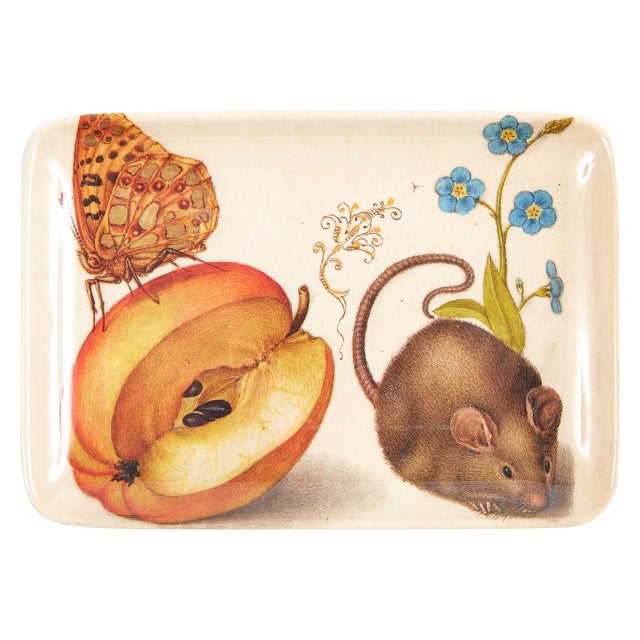 Plastic Botaniste Valet Trays, Set of 6 For Sale - Image 7 of 12