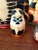 Wood Hand-Painted Folk Art Cat and Mouse Nesting Dolls - Set of 5 For Sale - Image 7 of 11