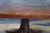Vintage Hekman Georgian Style Crotch Mahogany Oval Coffee Cocktail Table 52" For Sale - Image 9 of 11