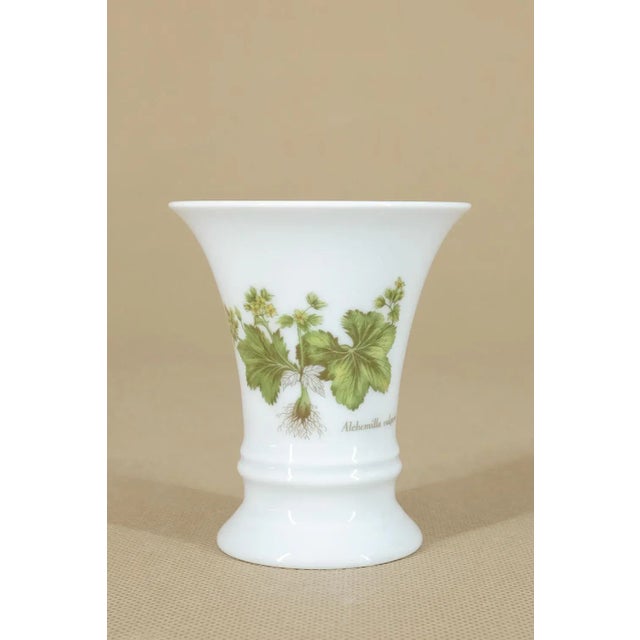 Green Alchemilla Vulgaris Vase from Fürstenberg Porzellan, 1980s For Sale - Image 8 of 8