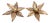 Floral Brass Wall Sconces by Willy Daro for Massive, 1970, Set of 2 For Sale