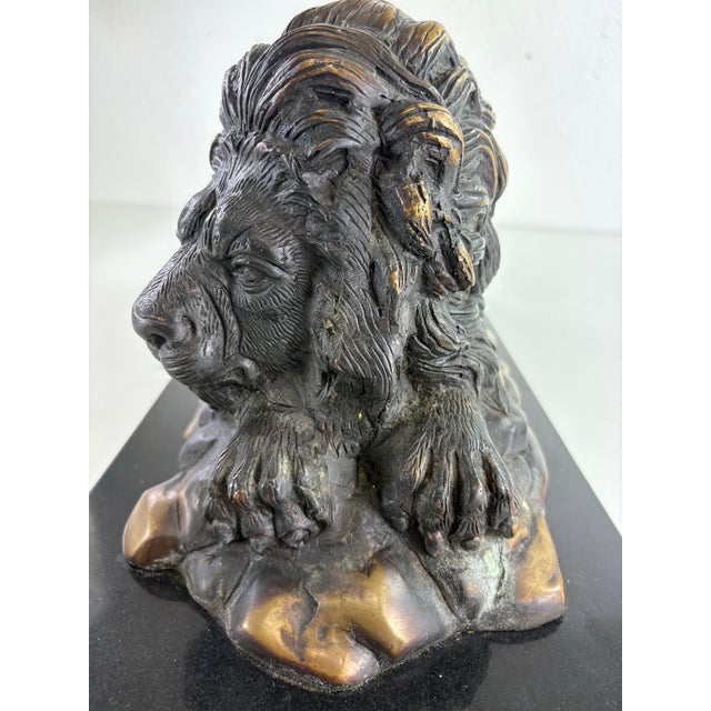 Mid 20th Century Grand Tour Italian Bronze Lion Sculpture For Sale In Philadelphia - Image 6 of 12