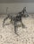 Chrome Christopher Shoemaker, Two Hand-Made Wire Dog Sculptures For Sale - Image 8 of 10