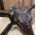 Early 20th Century Rustic Painted Deer Head From India For Sale In Atlanta - Image 6 of 12