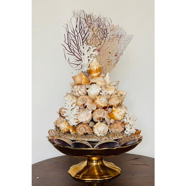 Coastal Gorgeous Sea Shell Topiary Assemblage For Sale - Image 3 of 8