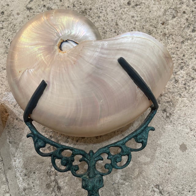 Shell Pair Vintage Maitland Smith Nautilus Shell For Sale - Image 7 of 11