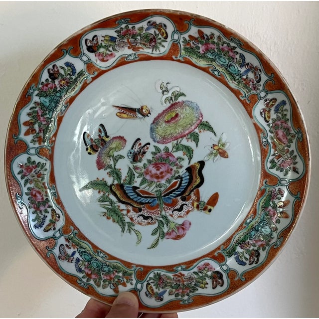 Antique early 19th century Chinese export porcelain plate with rose medallion decoration of butterflies and insects....