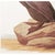 1966 Vintage Cottage Print "Double-Crested Cormorant" After John James Audubon For Sale In Dallas - Image 6 of 9